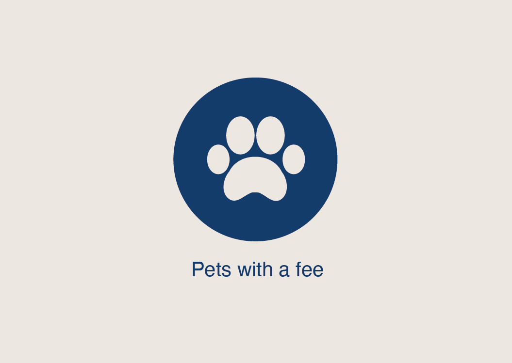 pet-friendly-amenities